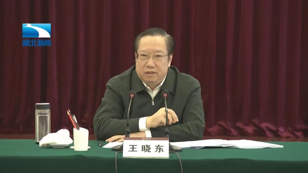 都市放牛演員王曉東，演技與多維影響力的深度解讀