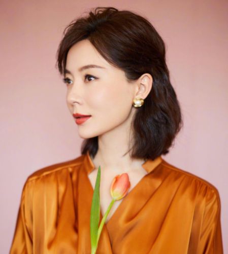 陳數老公揭秘，深度解析與觀點闡述