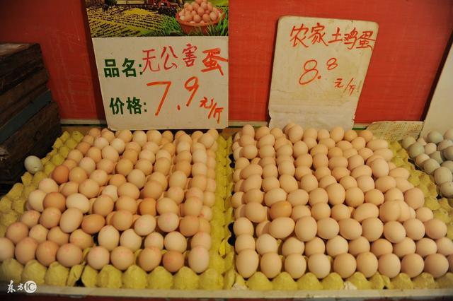 當(dāng)前雞蛋價(jià)格行情分析與展望