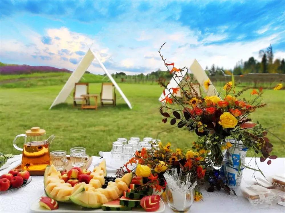 逢實螢資訊深度解析，影響及前景展望