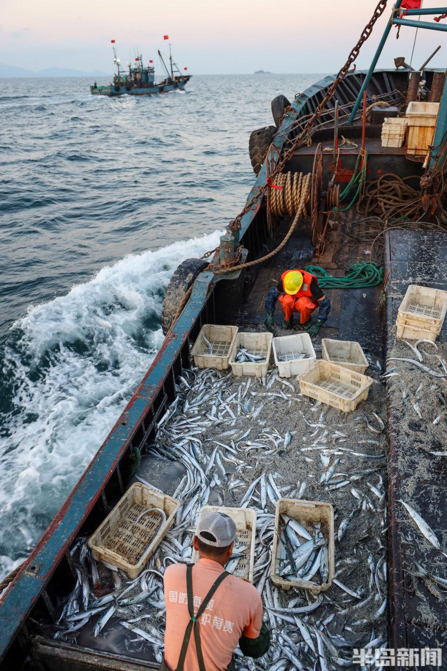 關(guān)于大型捕魚船價(jià)格的探討，以50米捕魚船為例的價(jià)格解析