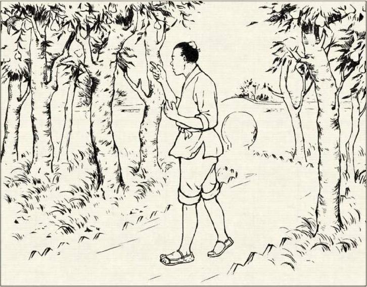 梨樹吧最新動態(tài)更新速遞