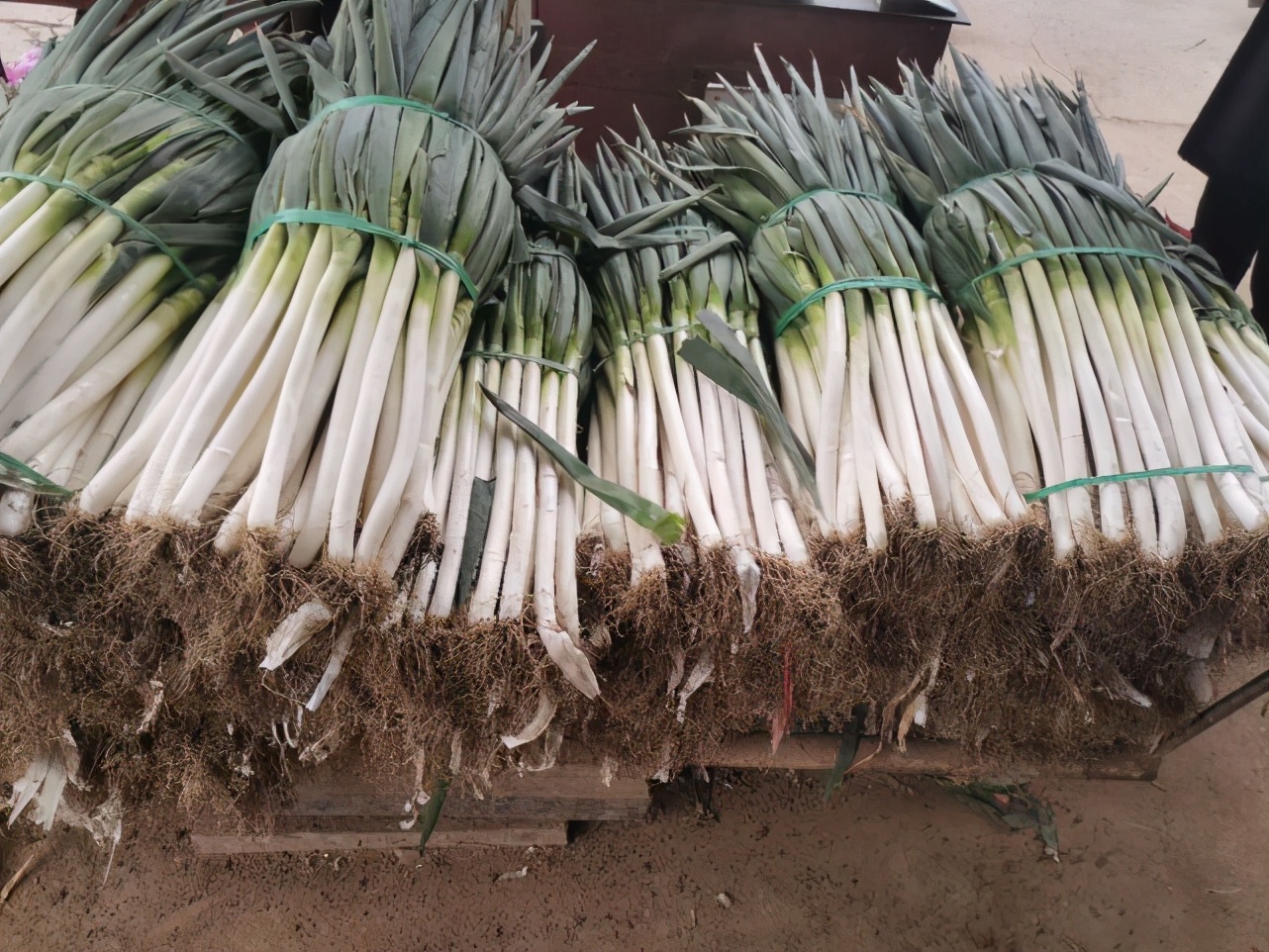 山東大蔥價格行情變化中的學(xué)習(xí)，自信與成就感的源泉