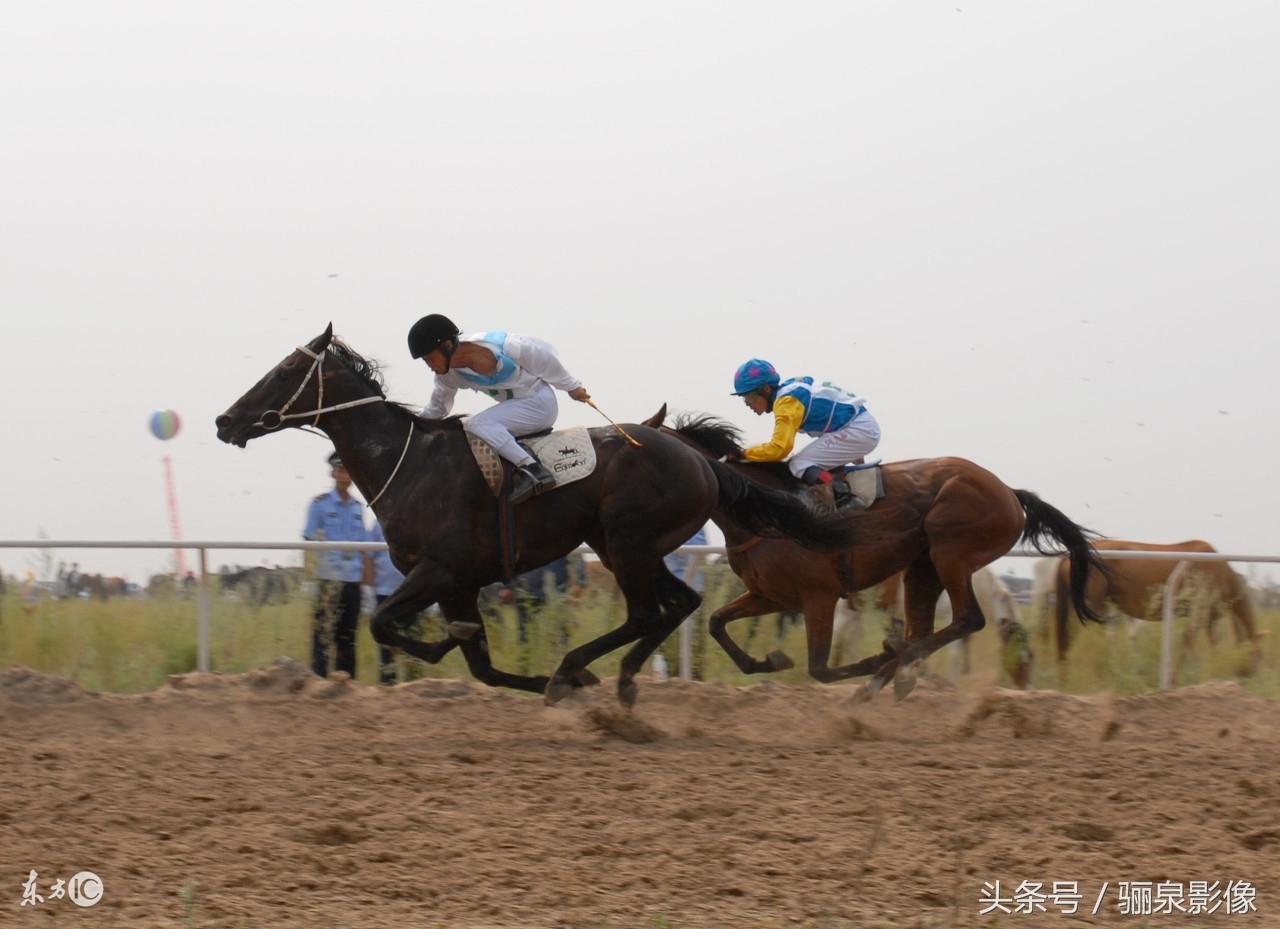 內(nèi)蒙古賽馬比賽視頻，小巷中的激情與獨(dú)特風(fēng)味探尋之旅