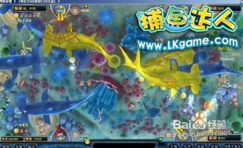 掌握最新捕魚技巧，輕松成為捕魚達(dá)人！