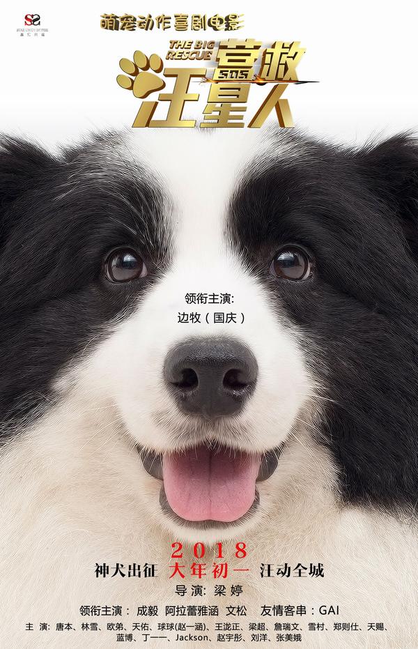 科技重塑觀影體驗，大狗狗影視最新更新鏈接分享