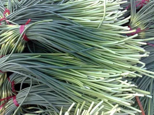 蒜薹行情深度解析，回溯與洞察