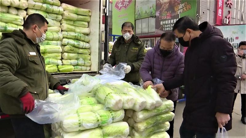 德州市場最新菜價更新，全面指南