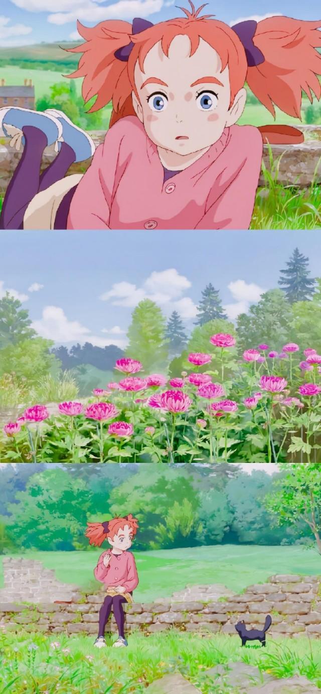 瑪麗動漫，夢幻之旅，開啟二次元世界的大門?