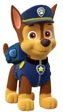 最新阿奇資訊，學(xué)習(xí)變革，擁抱自信成就的力量