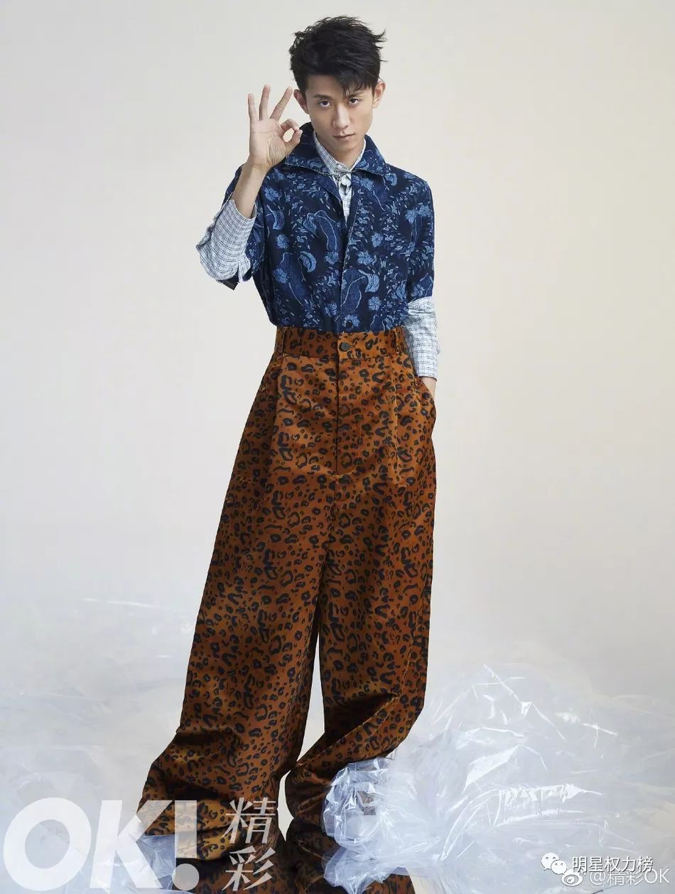 張一山影視之路多元發(fā)展及個人魅力展現(xiàn)的最新動態(tài)