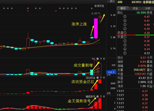 洛陽鉬業(yè)重組最新動(dòng)態(tài)揭秘，步驟指南與最新進(jìn)展