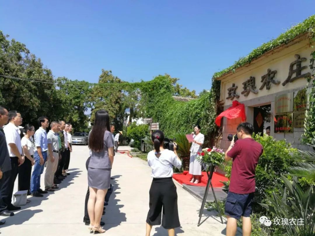 長泰人才網(wǎng)古農(nóng)農(nóng)場最新職位招聘大揭秘，小巷深處的特色小店等你來探索！