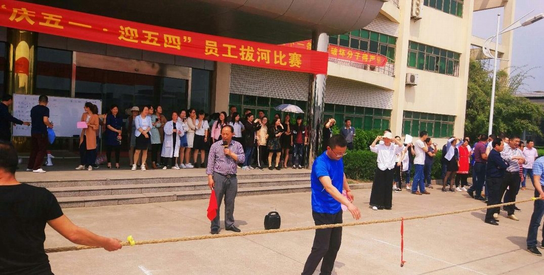 拔河比賽，團(tuán)結(jié)的力量展現(xiàn)與300字作文描述