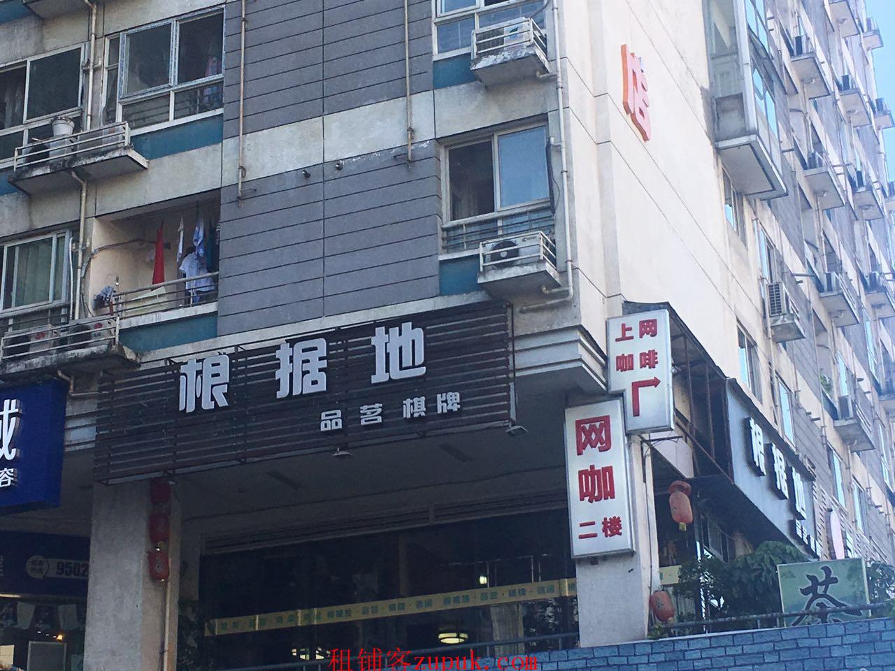 成都茶坊轉讓信息詳解，深度探討與觀點闡述