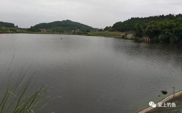 頭道溝水庫最新進展，自然之旅的新里程碑達成標題簡潔明了，符合內(nèi)容主旨。希望符合您的要求。