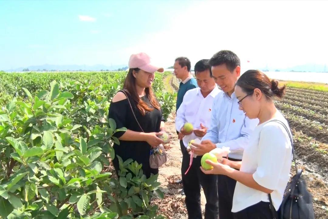 58同城海豐最新職位招聘，與自然美景同行，尋找內(nèi)心的平和寧靜之旅