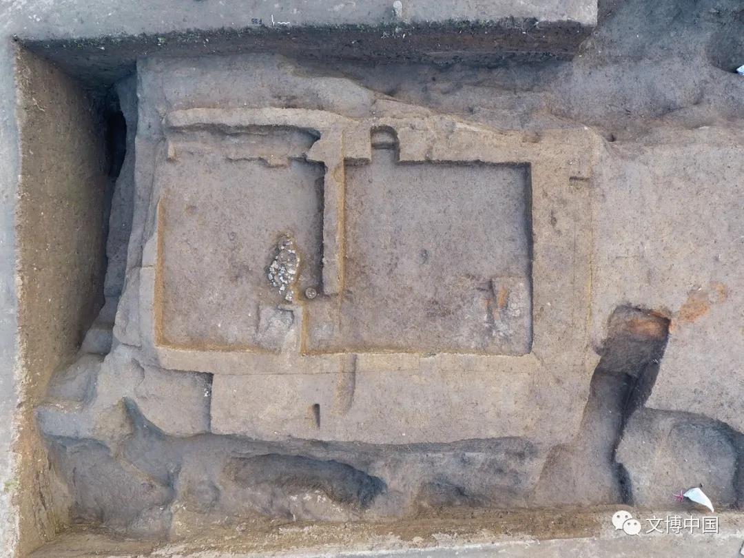 最新古墓考古成果揭秘，探尋自然美景與內(nèi)心平靜的旅程