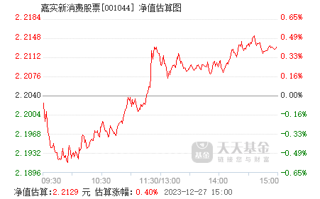 嘉實新消費股票（001044）投資指南與步驟解析