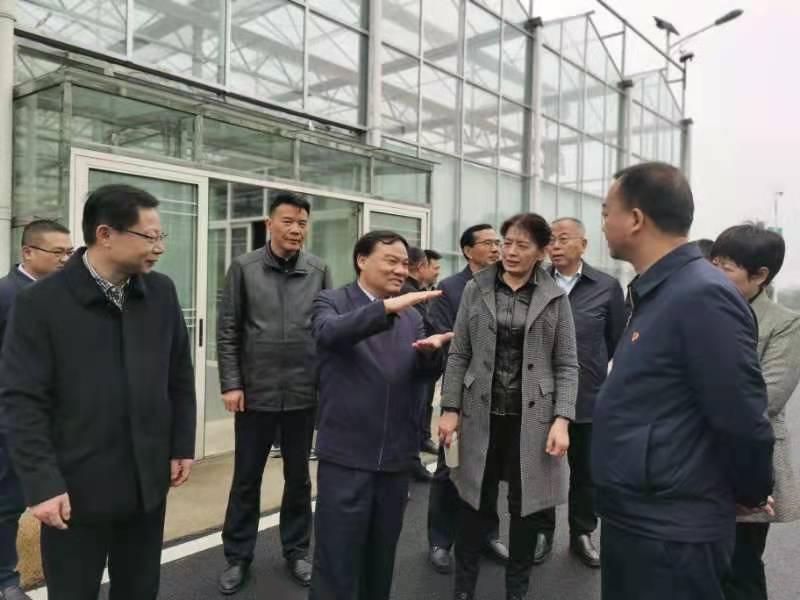 金博地最新動態(tài)，引領(lǐng)創(chuàng)新，塑造未來藍圖之路