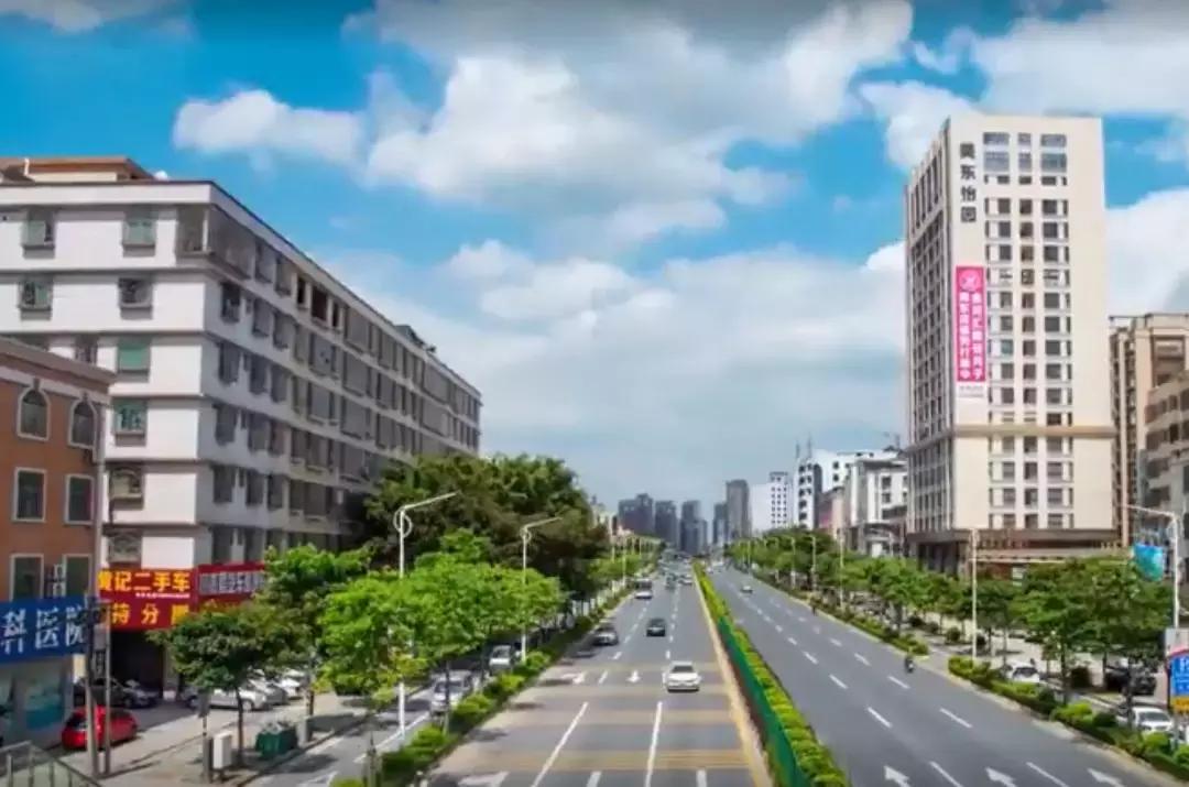 揭西生豬今日價(jià)格,揭西生豬今日價(jià)格全面解析，新鮮資訊一探究竟！????