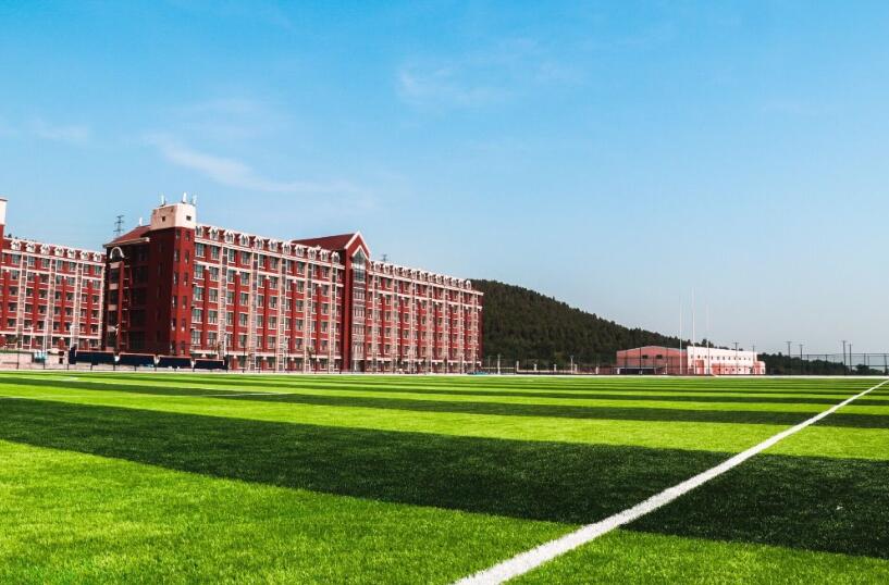 山東大學(xué)動漫設(shè)計專業(yè)，自然美景中的探索之旅