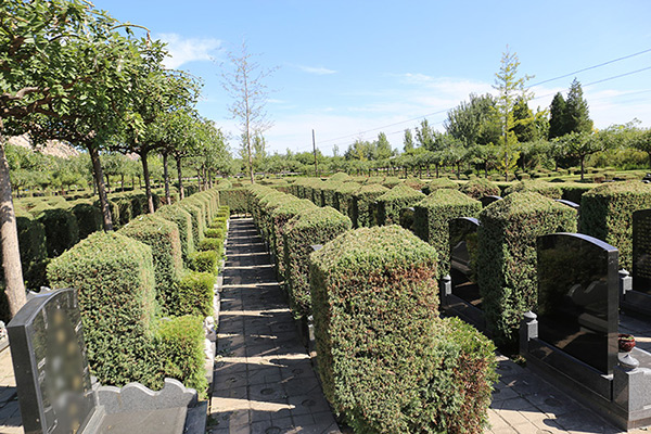 北京墓地價(jià)格指南，如何選購(gòu)與購(gòu)買墓地？