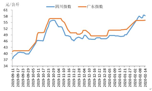 豬肉價格走勢圖背后的故事與溫情