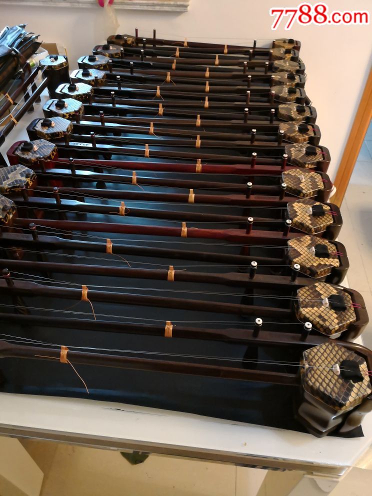 二胡價(jià)格表圖片揭秘，小巷深處的音樂寶藏探索