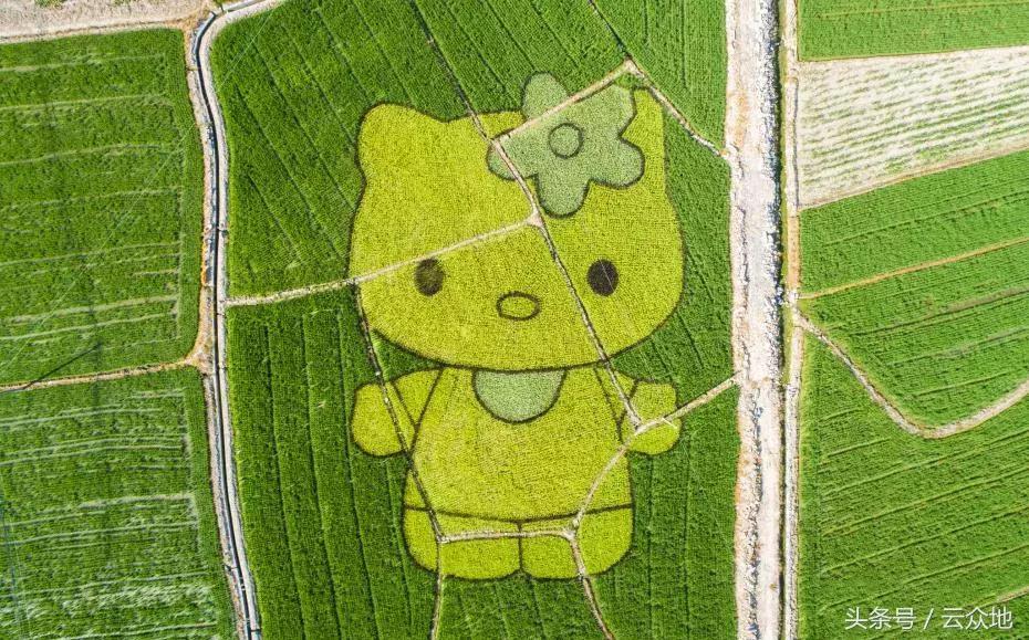 小巷深處的寶藏小店，最新賺錢創(chuàng)意大揭秘