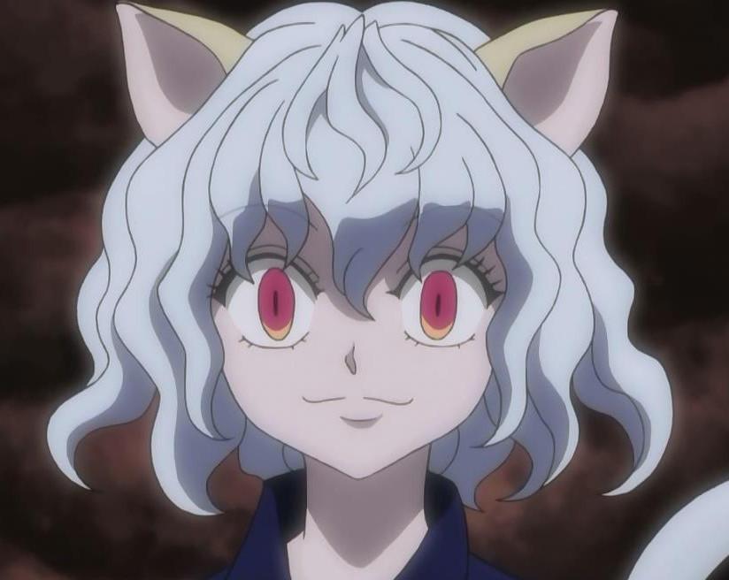 貓人動(dòng)漫，探索二次元世界的獨(dú)特魅力之旅