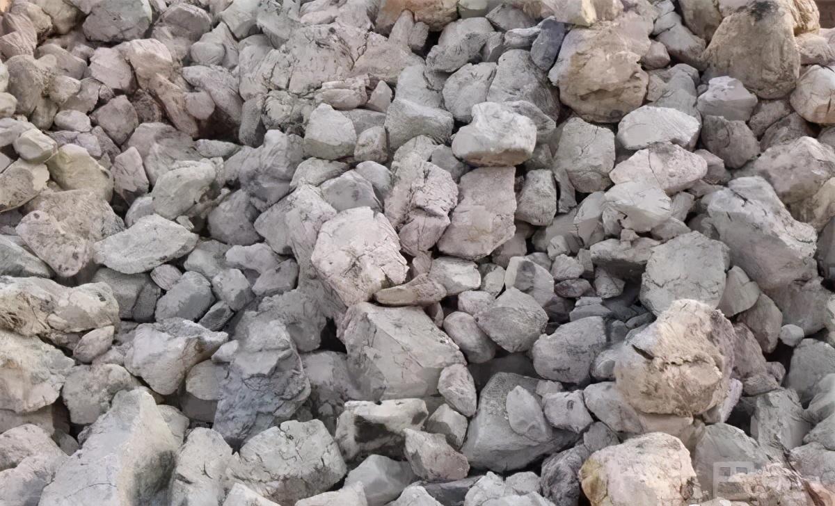 鈮鐵最新行情，揭示市場(chǎng)走勢(shì)與一段溫馨的友情故事