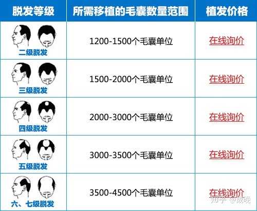 種頭發(fā)的價格之旅，探尋價格與自然的浪漫遨游
