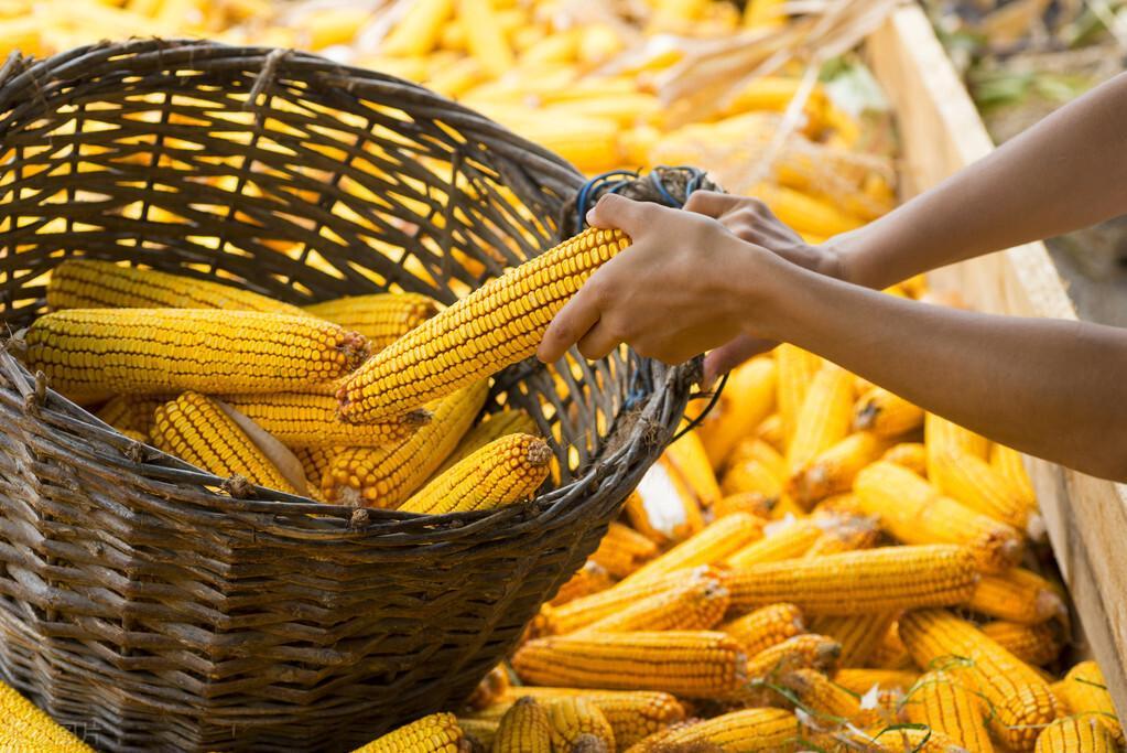 三月行情，時尚與投資完美交融的時刻