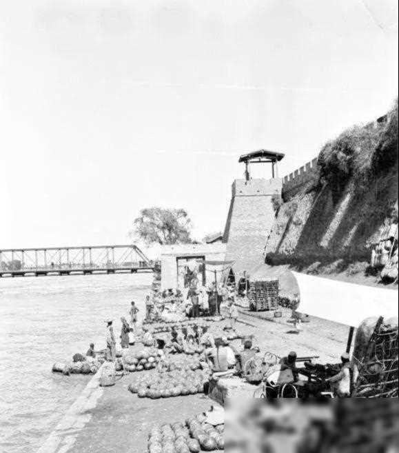 最新軍閥片，日常與友情交織的溫暖故事