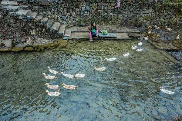 丁志華，閃耀光芒，引領(lǐng)時代新潮流