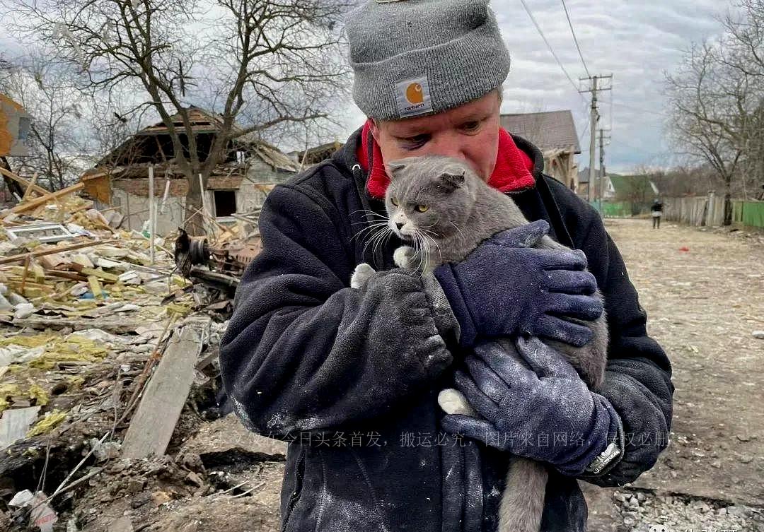 揭秘最新套路招數(shù)，深度探討與實戰(zhàn)解析