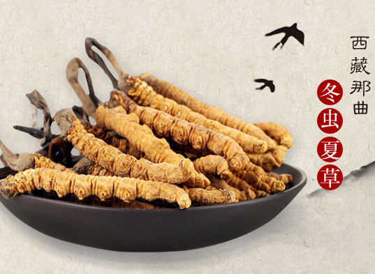 那曲蟲草最新價格動態(tài)，學(xué)習(xí)成長與自信成就感的源泉