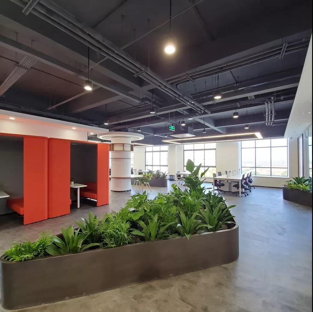 最新申報(bào)導(dǎo)師制度，利弊分析與個(gè)人觀點(diǎn)探討