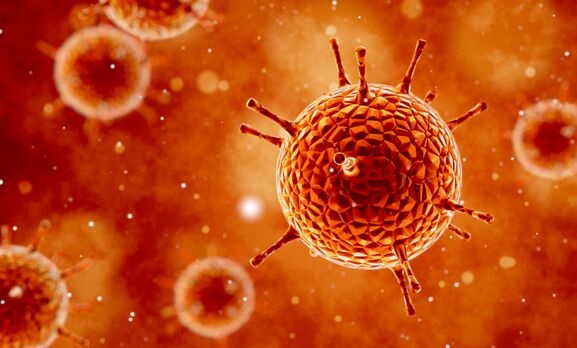 揭秘最新版病毒，背景、重大事件及其影響