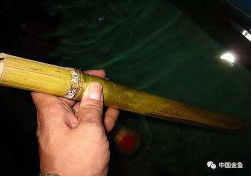 養(yǎng)魚(yú)最新工具概覽，創(chuàng)新產(chǎn)品助力養(yǎng)魚(yú)事業(yè)?