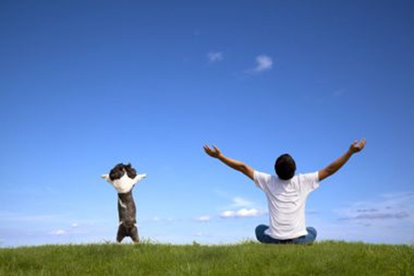 月丘最新視頻，高科技重塑生活，體驗未來科技的魅力