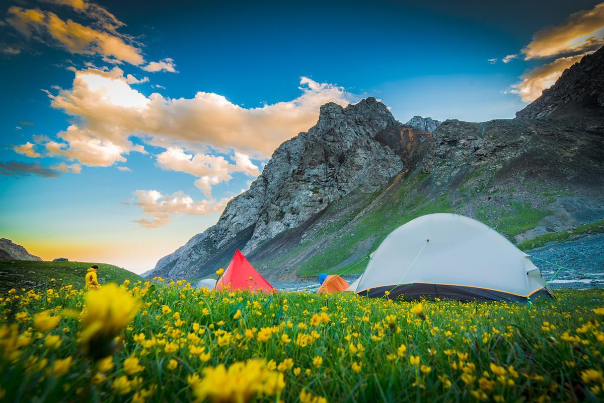 芳草冰視最新，任務(wù)完成與技能學(xué)習(xí)詳細(xì)步驟指南