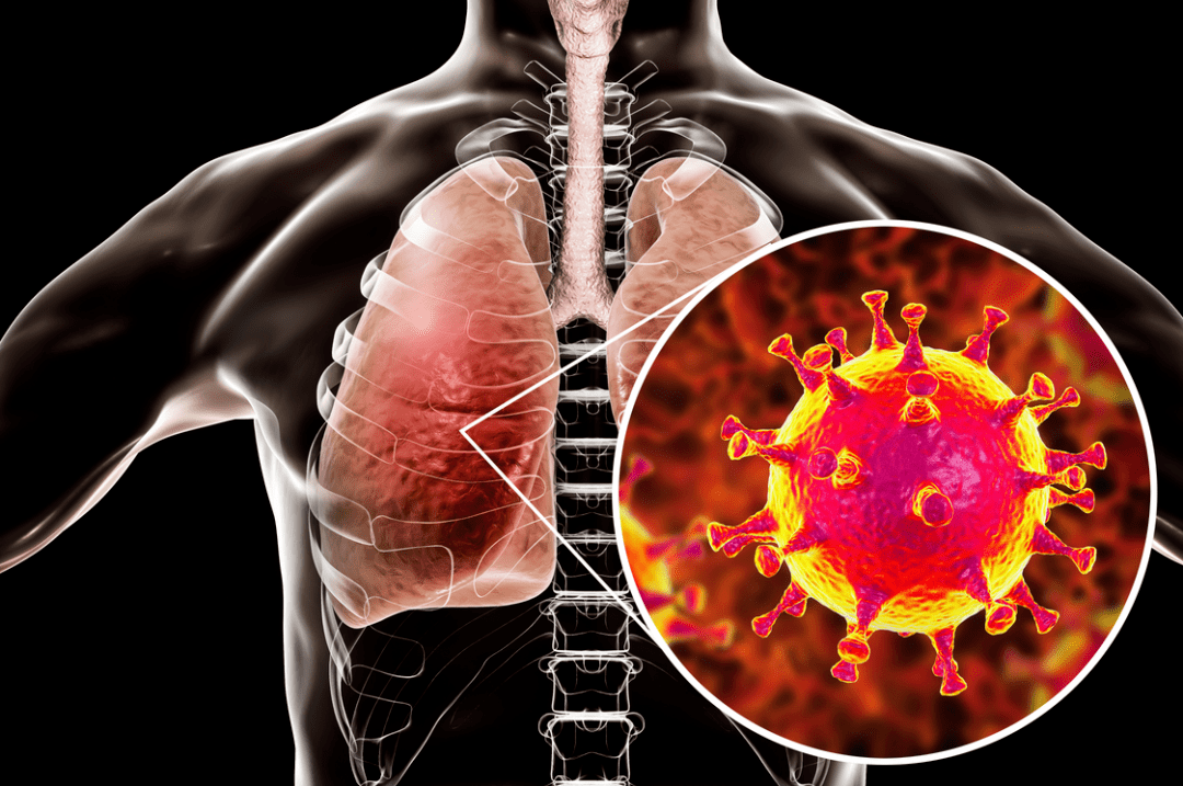 全球病毒疫情最新動態(tài)，心靈之旅在大自然的呼喚中啟程