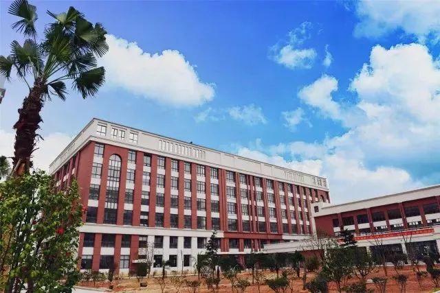 溫州最新動(dòng)態(tài)，城市變遷中的學(xué)習(xí)之光