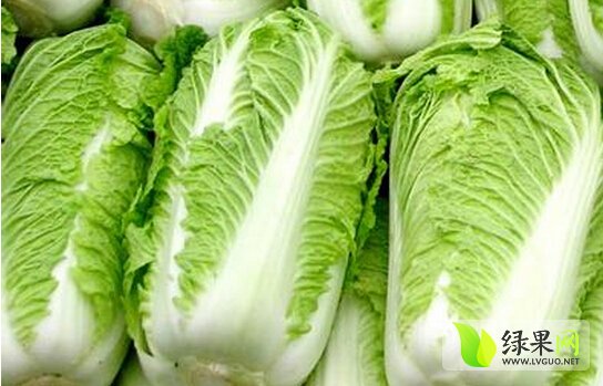 白菜今日最新價格及市場走勢多元觀點探討