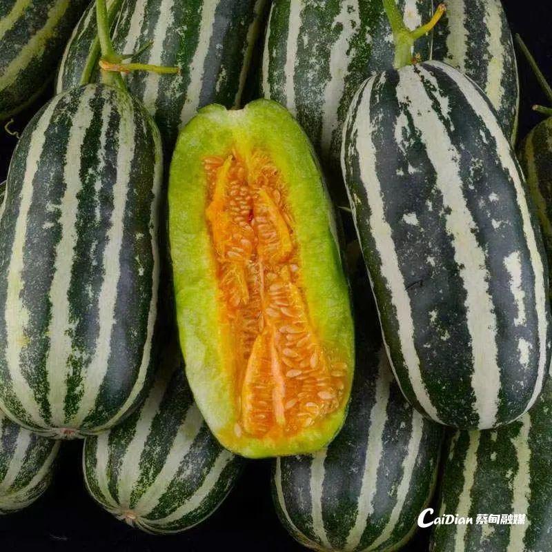 網(wǎng)紅最新瓜，一場溫馨有趣的日常故事揭秘