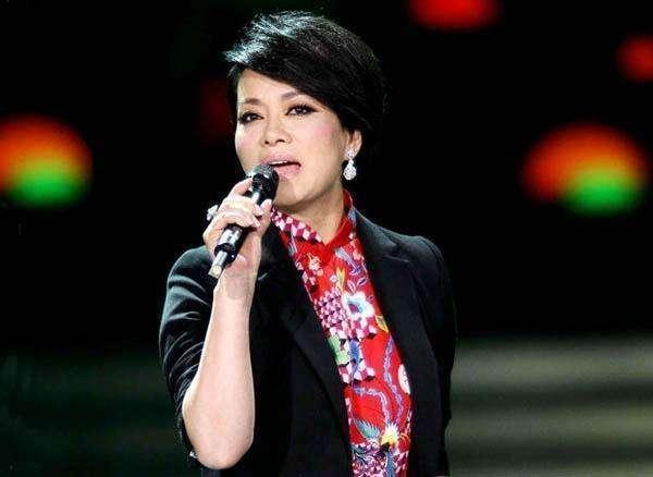 最新稅務(wù)立案，稅海中的溫情與挑戰(zhàn)