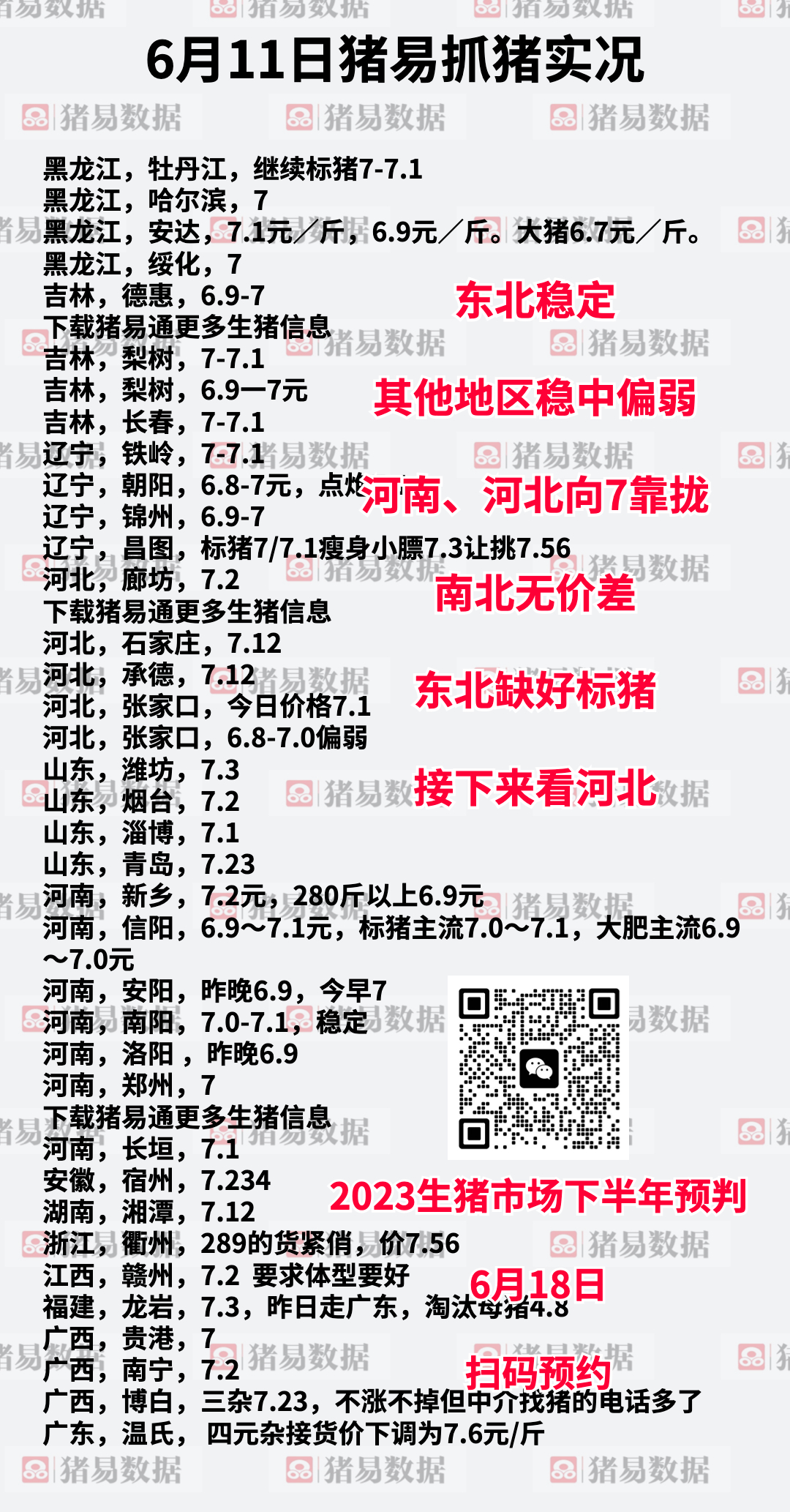 沙灘最新豬價行情與尋找內心平靜的自然美景之旅