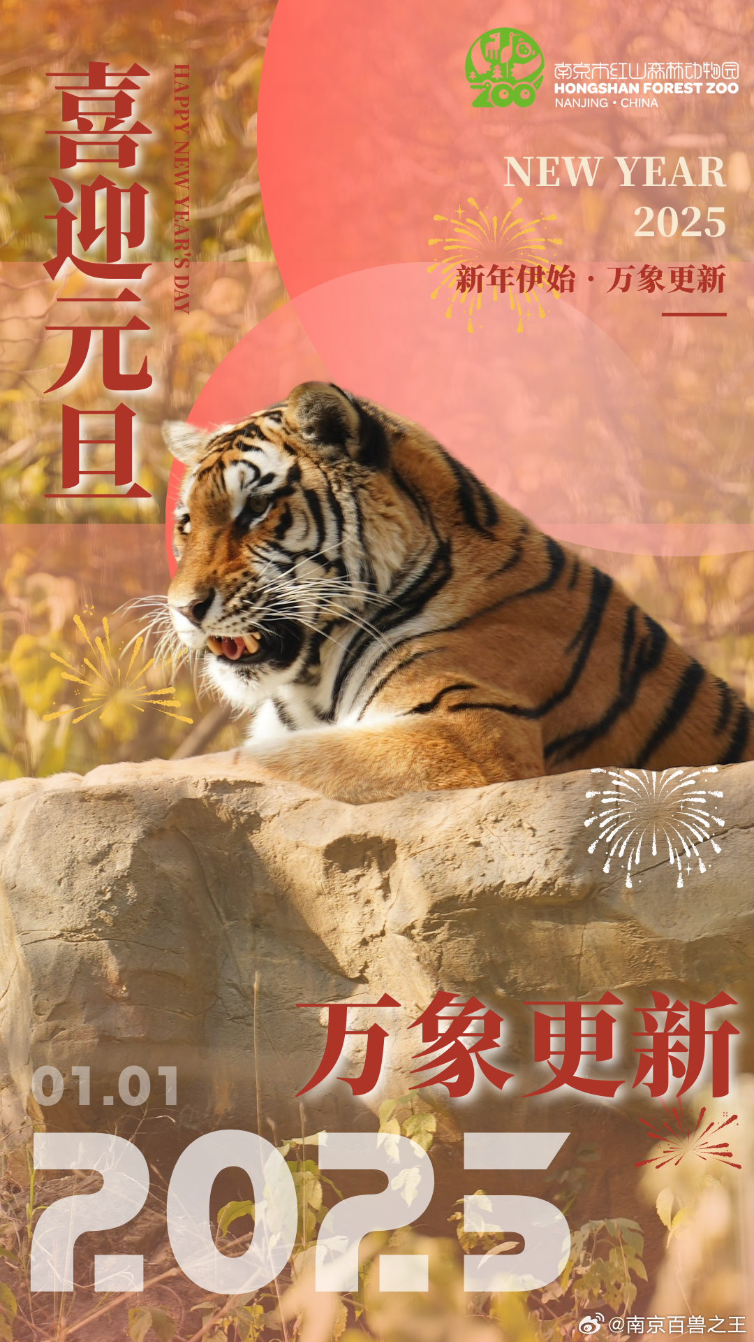 最新年伊始，完成某項任務(wù)或?qū)W習(xí)某種技能的詳細(xì)步驟指南